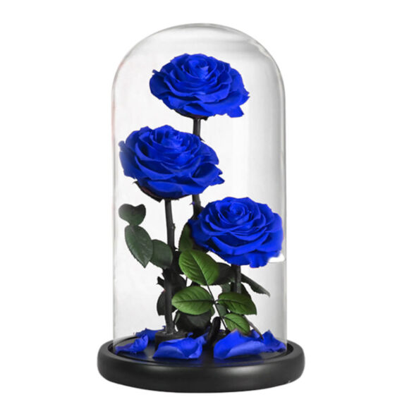 Grande-Rose-Sous-Cloche-5.jpg