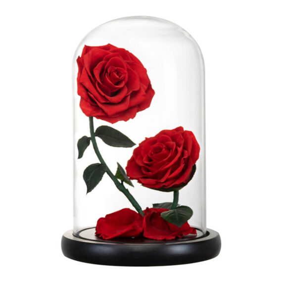 Rose-Sous-Cloche-x2-1.jpg