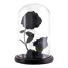 Rose-Sous-Cloche-x2-2.jpg