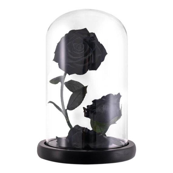 Rose-Sous-Cloche-x2-2.jpg