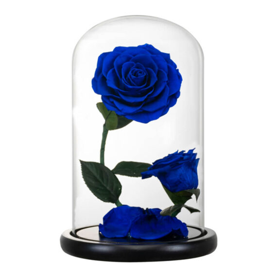 Rose-Sous-Cloche-x2-3.jpg