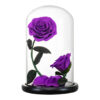 Rose-Sous-Cloche-x2-4.jpg