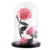 Rose-Sous-Cloche-x2-5.jpg