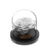 Rose-sous-Cloche-1.jpg