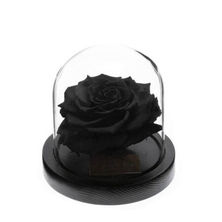 Rose-sous-Cloche-7.jpg