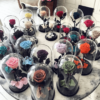 Roses-sous-cloches-1.png