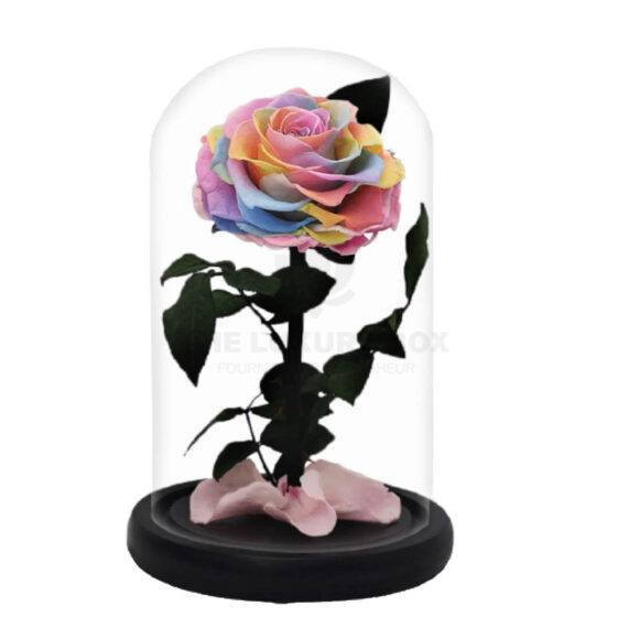 Roses-sous-cloches-2.jpg