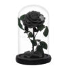 Roses-sous-cloches-4.jpg