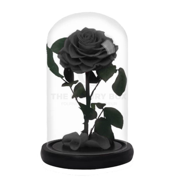 Roses-sous-cloches-4.jpg