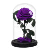 Roses-sous-cloches-6.jpg