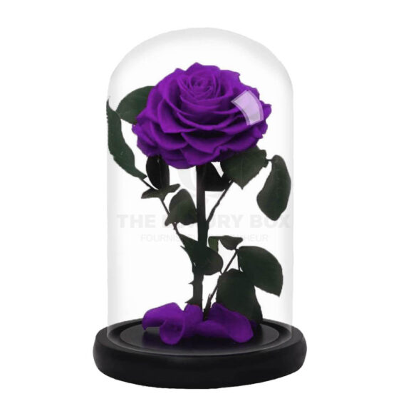 Roses-sous-cloches-6.jpg