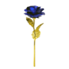 bleu.png