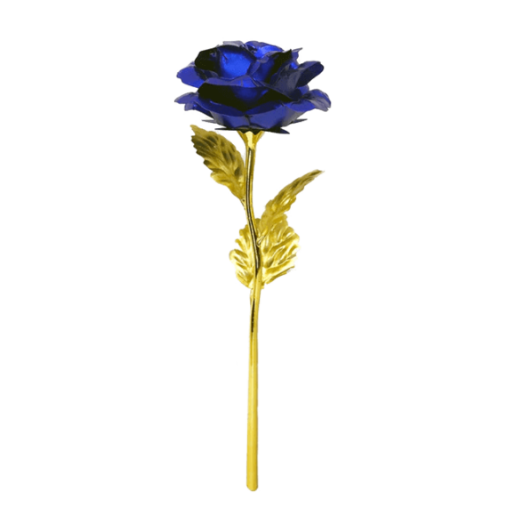 bleu.png